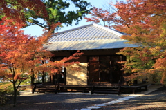 優しい秋の陽射し