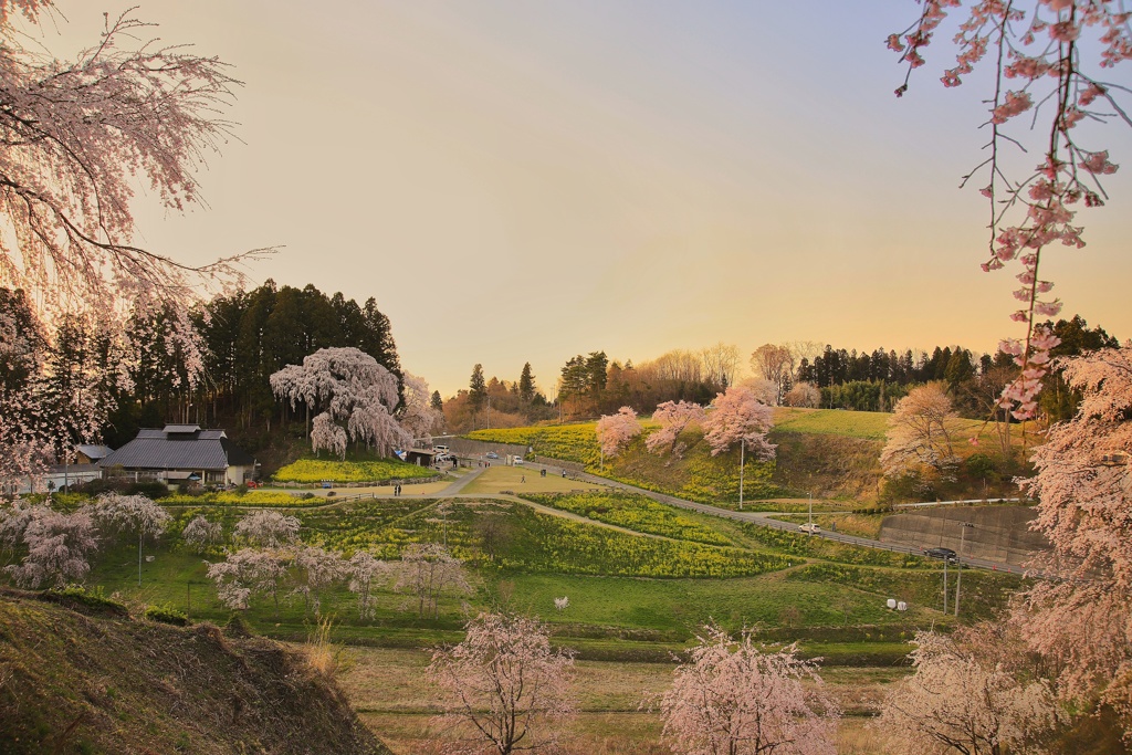 里山夕景