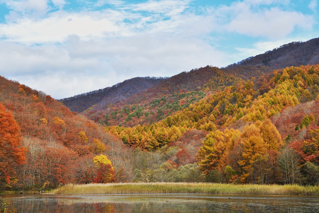 彩る秋の山
