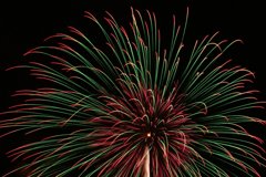 花が舞う