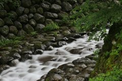 涼しげに流れる