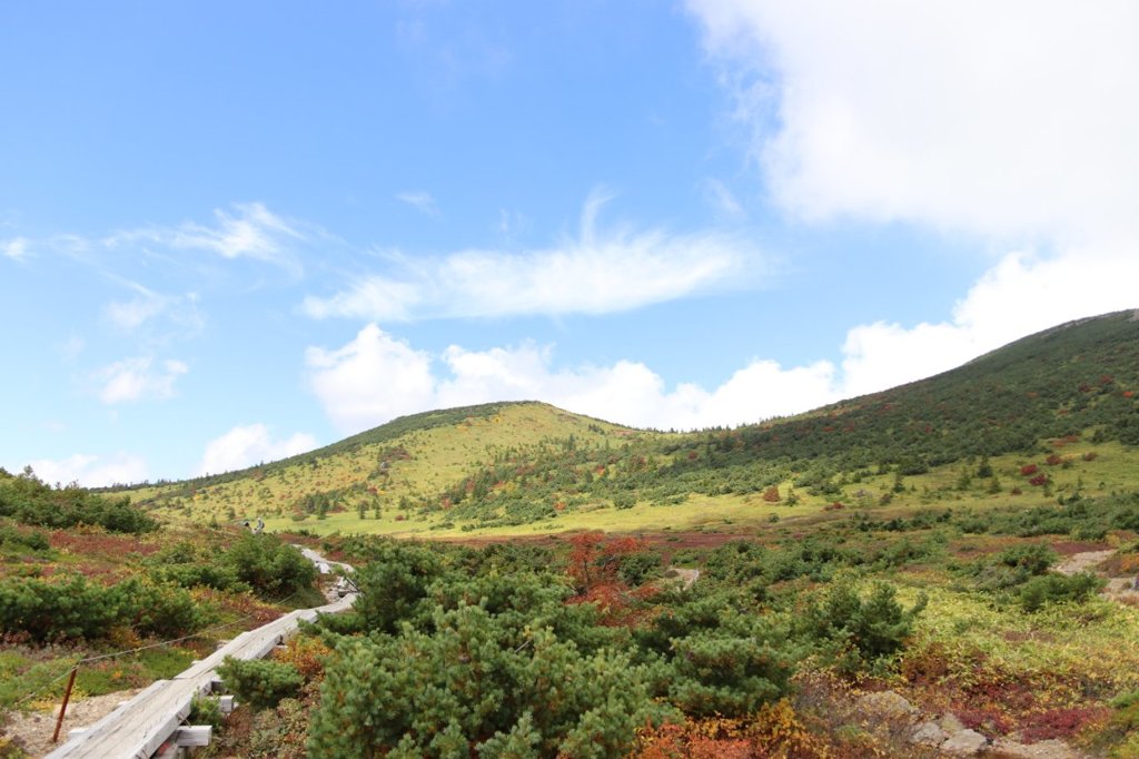 山日和