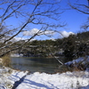 冬晴れ