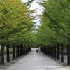 休日の散歩道