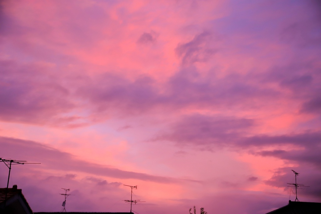 染まる夏空