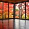 紅