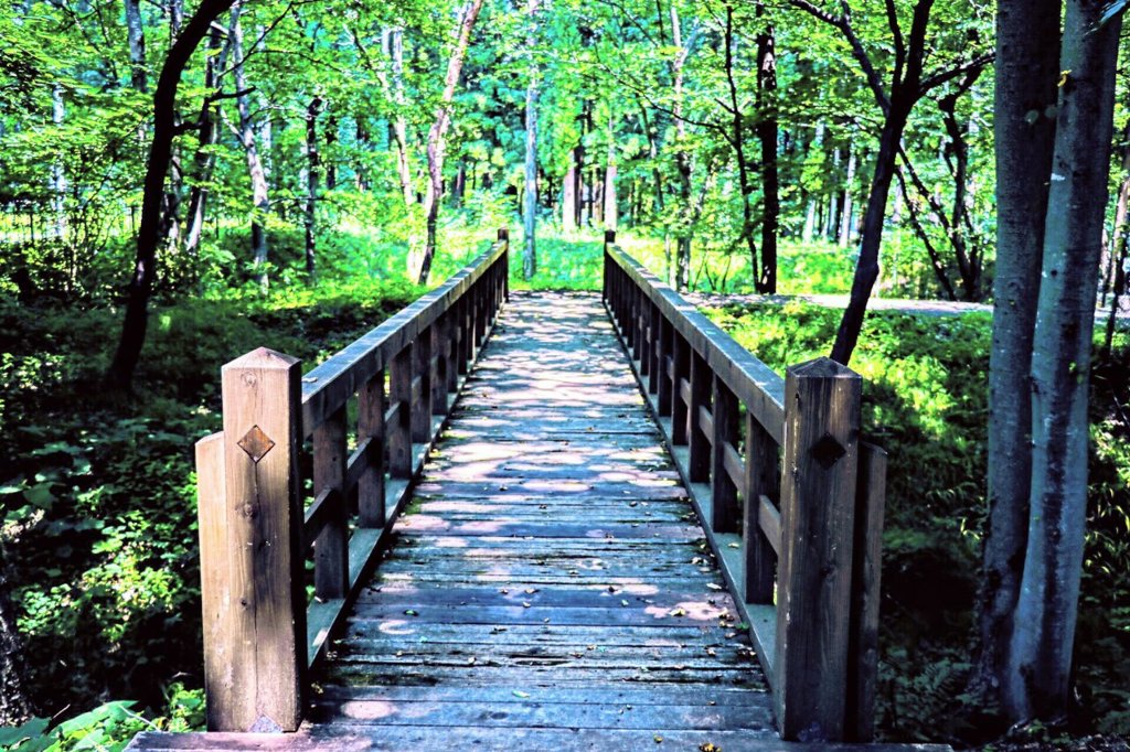 橋の向こうは…