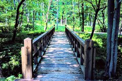 橋の向こうは…