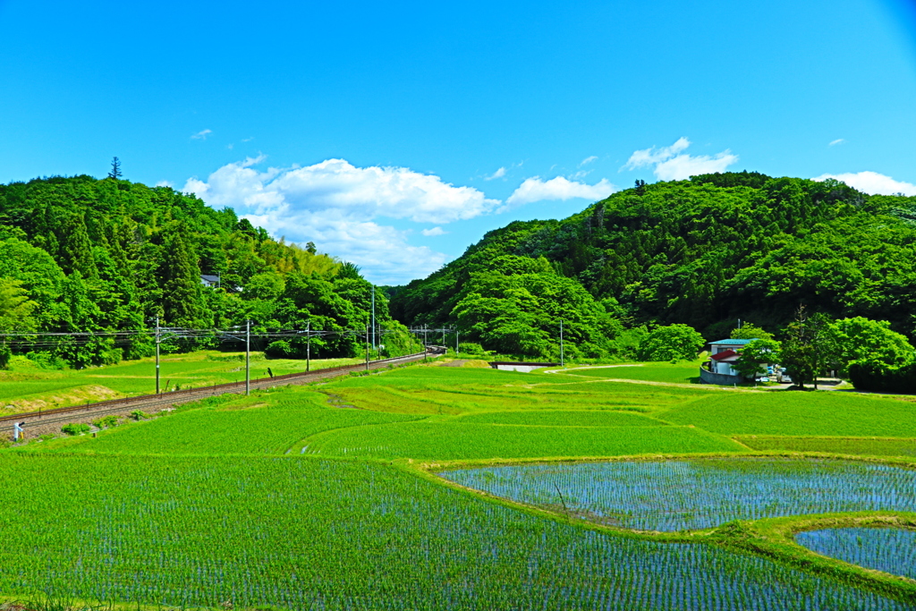 田園