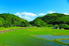田園