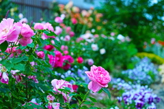 それぞれの主張