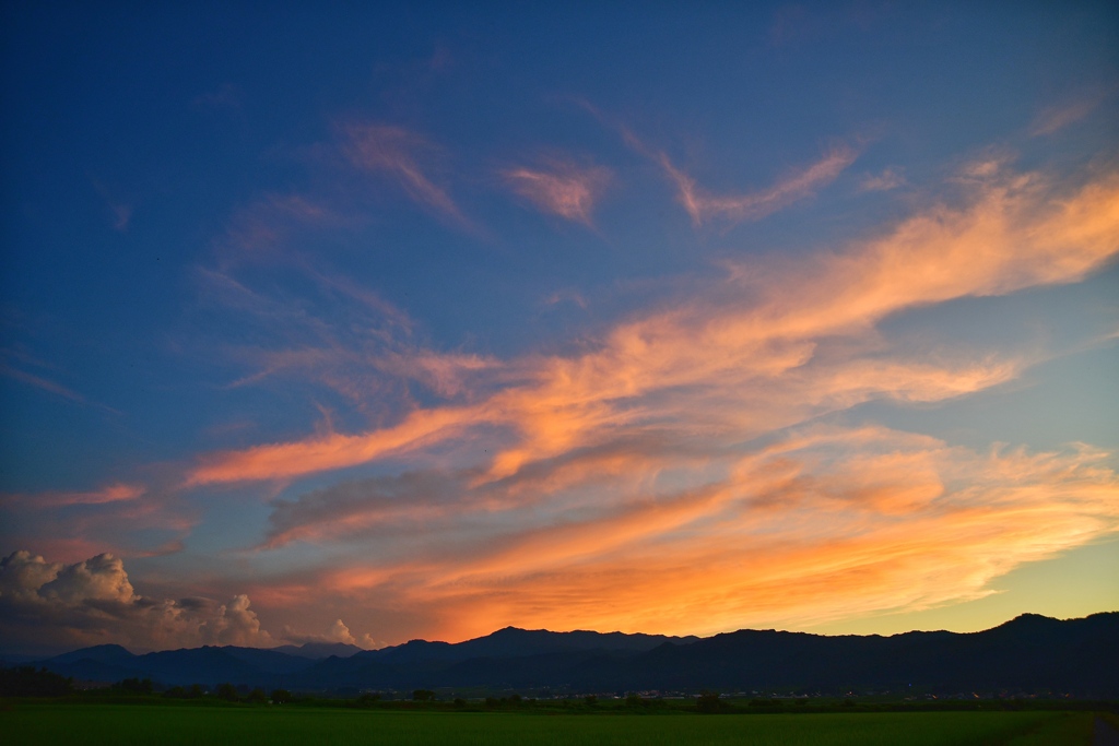 夏の夕空