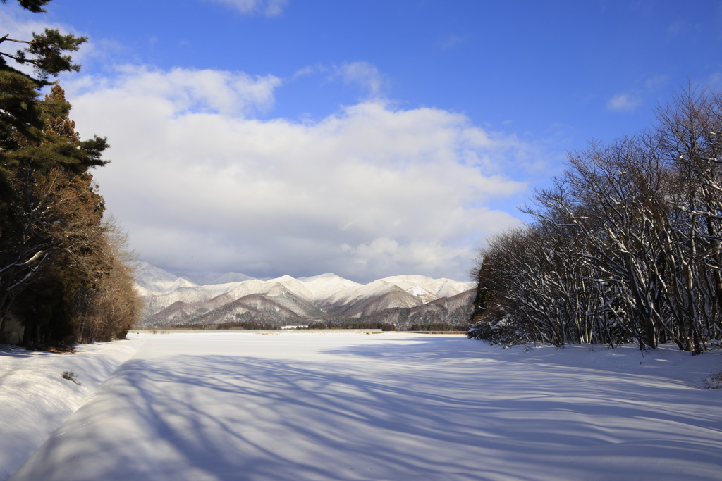 雪キャンパスに影