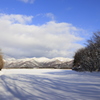 雪キャンパスに影