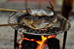 囲炉裏で食す