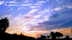 朝焼けの出迎え