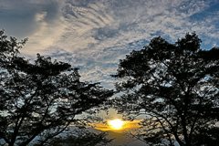 沈む