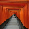 朝のお参り
