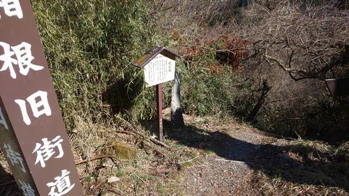 img27