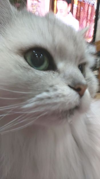 img03
