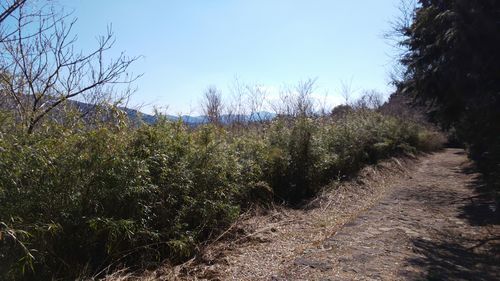 img10