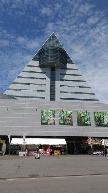 img13