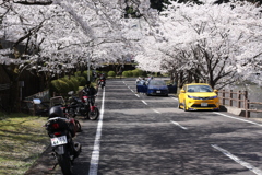 奈良県下北山スポーツ公園