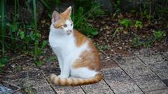 ん？