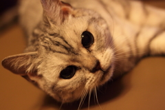 ずっと見ていたいね。