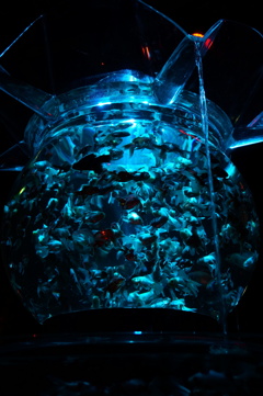 金魚鉢