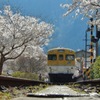 安野 花の駅公園