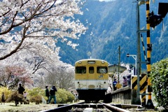 安野花公園