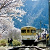 安野花公園