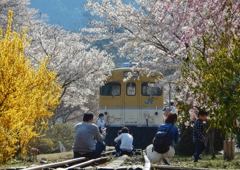 安野花の駅公園2