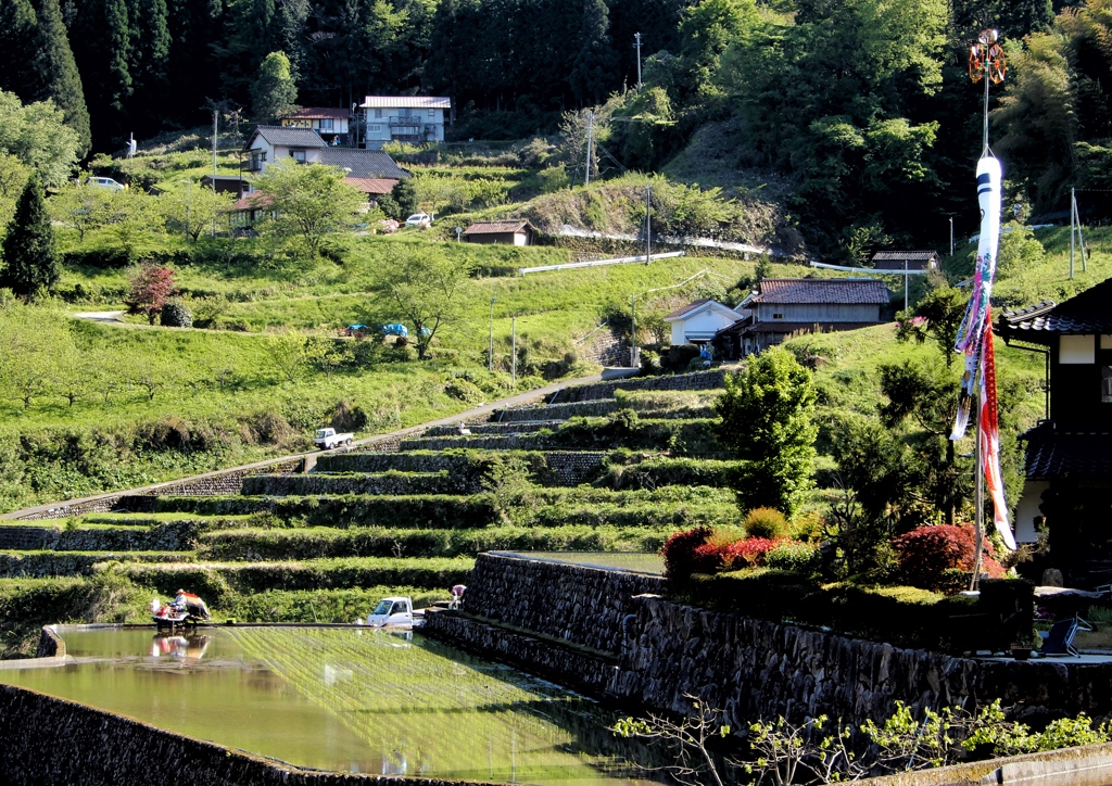 井仁の棚田