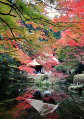 吉水園
