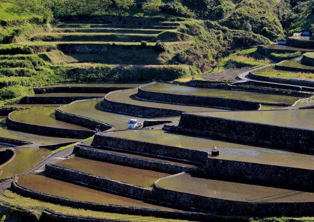 井仁の棚田3