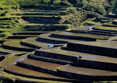 井仁の棚田3