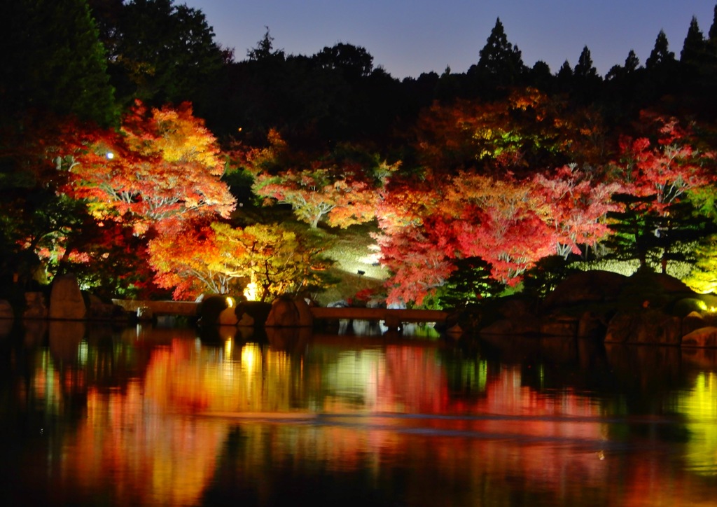 三景園もみじライトアップ