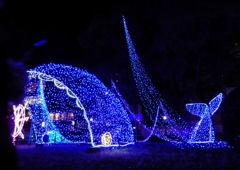 広島ドリミネーション1