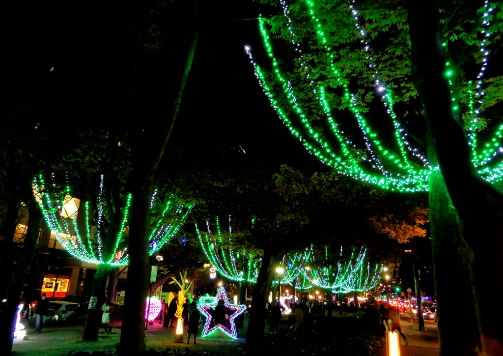 広島ドリミネーション