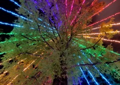 広島ドリミネーション4