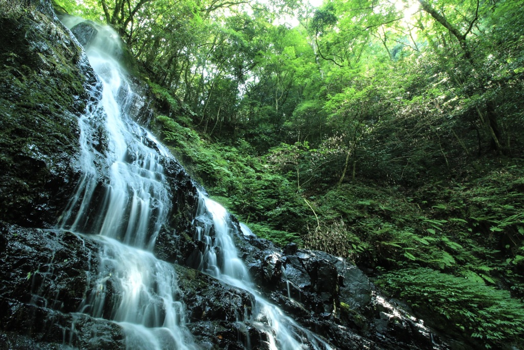 白糸滝