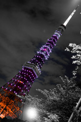 クリスタルタワー