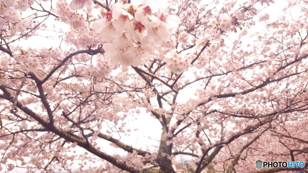 城山公園にて