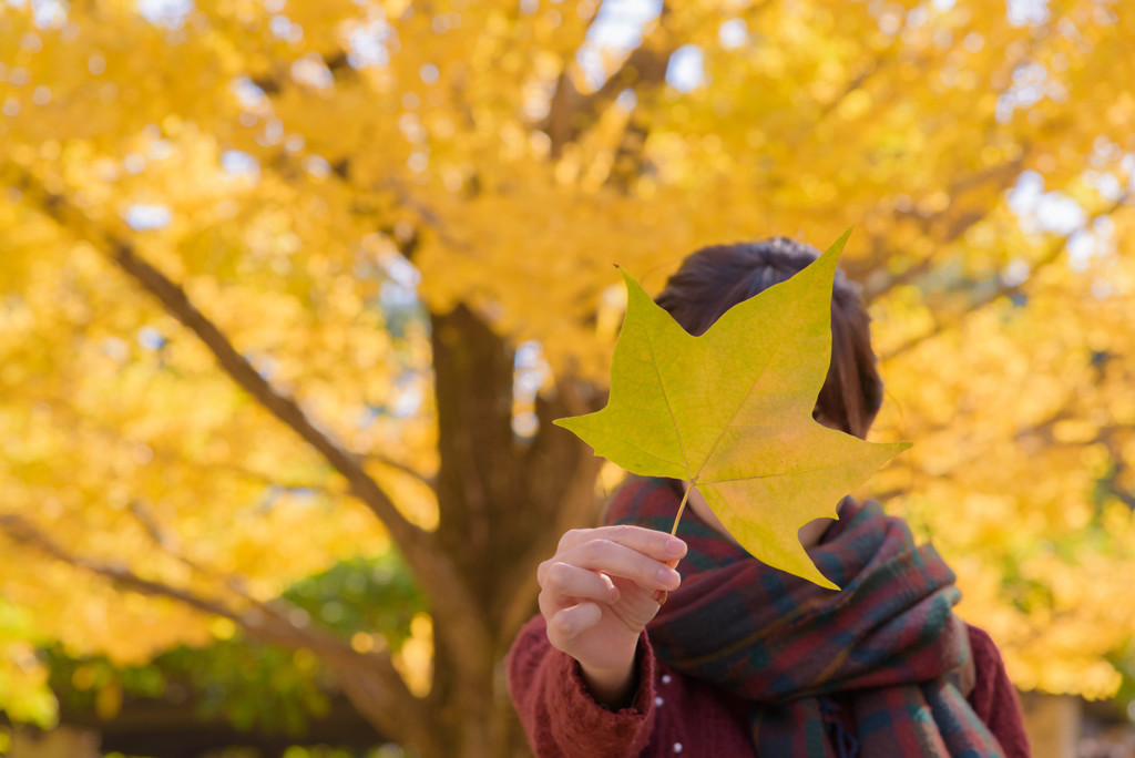 顔の見えない紅葉ポートレート②