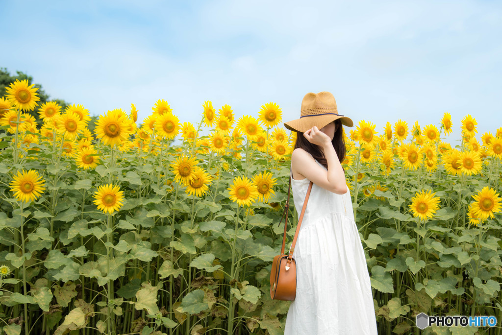 ひまわりポートレート⑥