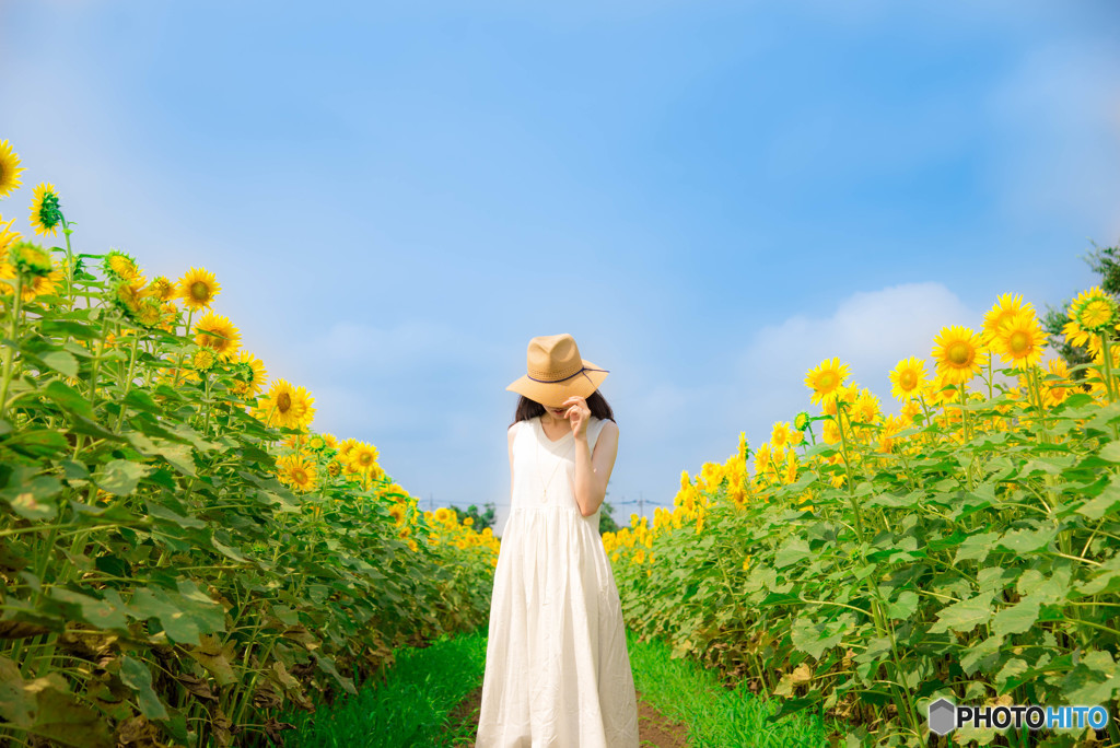 ⭐️ラスト1点❣️写真撮影　背景ボード　ひまわり　スタジオ撮影　製品写真 ⭐️ラスト1点❣️写真撮影 背景ボード ひまわり スタジオ撮影