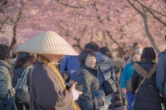 春