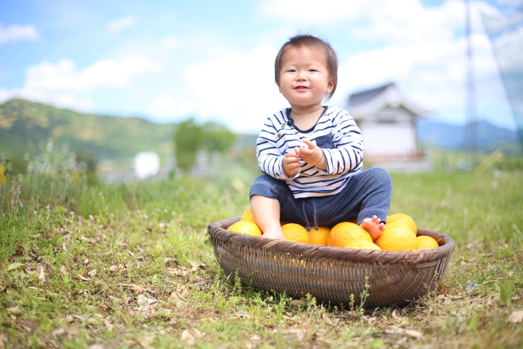 ヤンチャ坊主